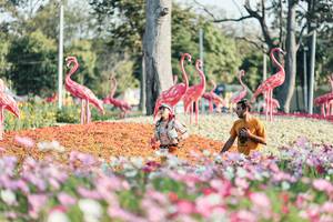 BIB: 
                            <button type="button" onclick="openModal(27344210)" class="btn btn-primary btn-sm float-right btn-popup" data-toggle="modal" data-target=".modal-high-quality">
                        <i class="fas fa-shopping-cart"></i> Add to Cart
                    </button>
                                            <button type="button" onclick="isThisMe(27344210, true)" class="btn btn-success btn-sm float-right btn-popup btn-isme hidden" data-toggle="tooltip" data-placement="bottom" title="นี่คือรูปของคุณใช่ไหม คลิกที่นี่เพื่อเอาเข้าอัลบั้ม">
                        <i class="fas fa-plus"></i> Add to album
                    </button>
                    <button type="button" onclick="isThisMe(27344210, false)" class="btn btn-warning btn-sm float-right btn-popup btn-isnotme hidden">
                        <i class="fas fa-ban"></i> Remove from album
                    </button>